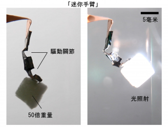 圖2	 由兩個驅動關節組成的「迷你手臂」在光照射下抬起它自身重量50倍的物件。